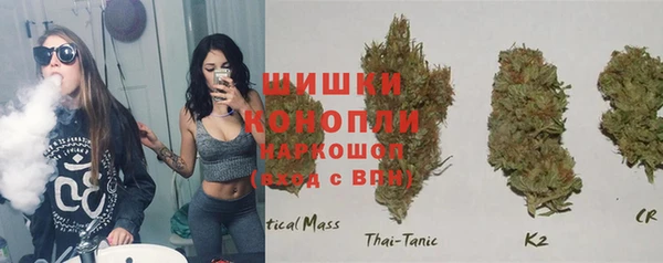 прущая мука Вяземский