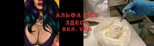 амф Вязьма