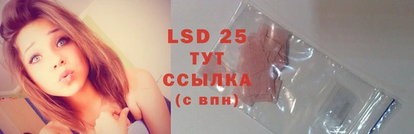 прущая мука Вяземский