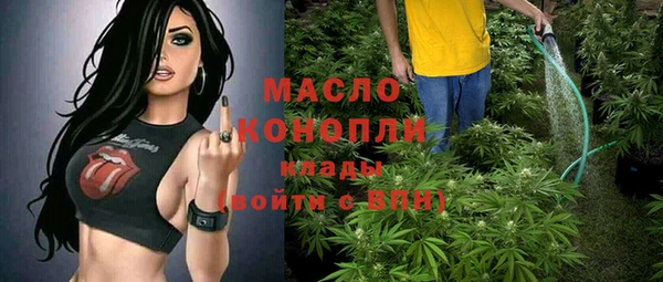 прущая мука Вяземский