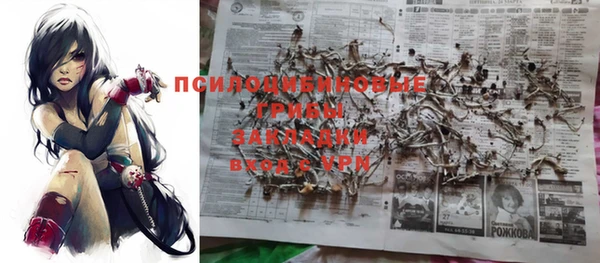 амф Вязьма