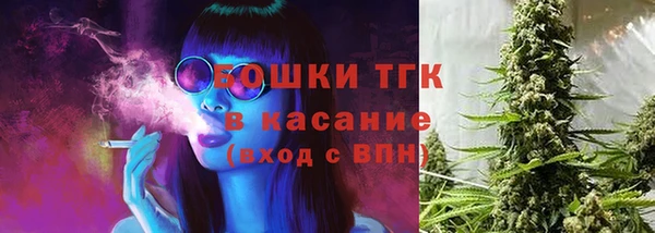 прущая мука Вяземский