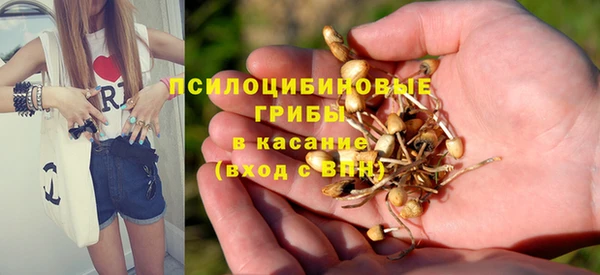 амф Вязьма
