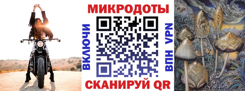 Купить закладки  Алзамай  Галлюциногенные грибы Psilocybine cubensis 