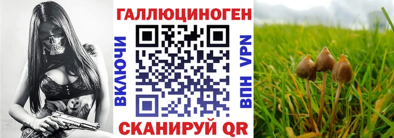 Галлюциногенные грибы GOLDEN TEACHER Алзамай